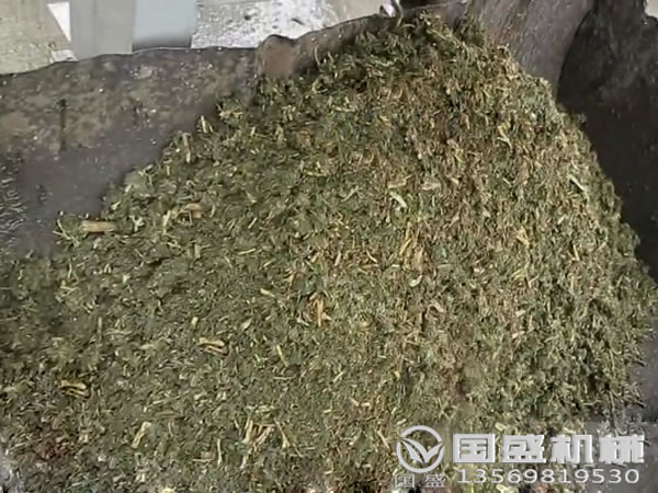 餐廚垃圾分揀脫水機 餐廚垃圾分揀脫水機
